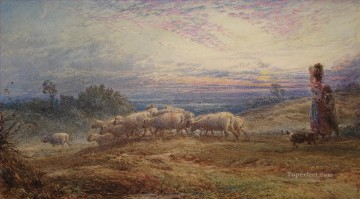 Sheep Shepherd Painting - Shepherd sunset